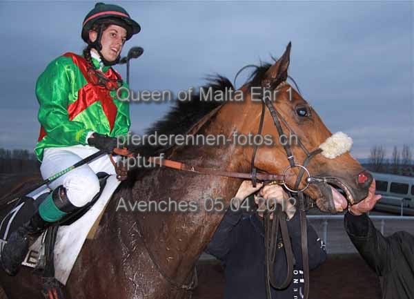 Queen of Malta Ehr 1 prot